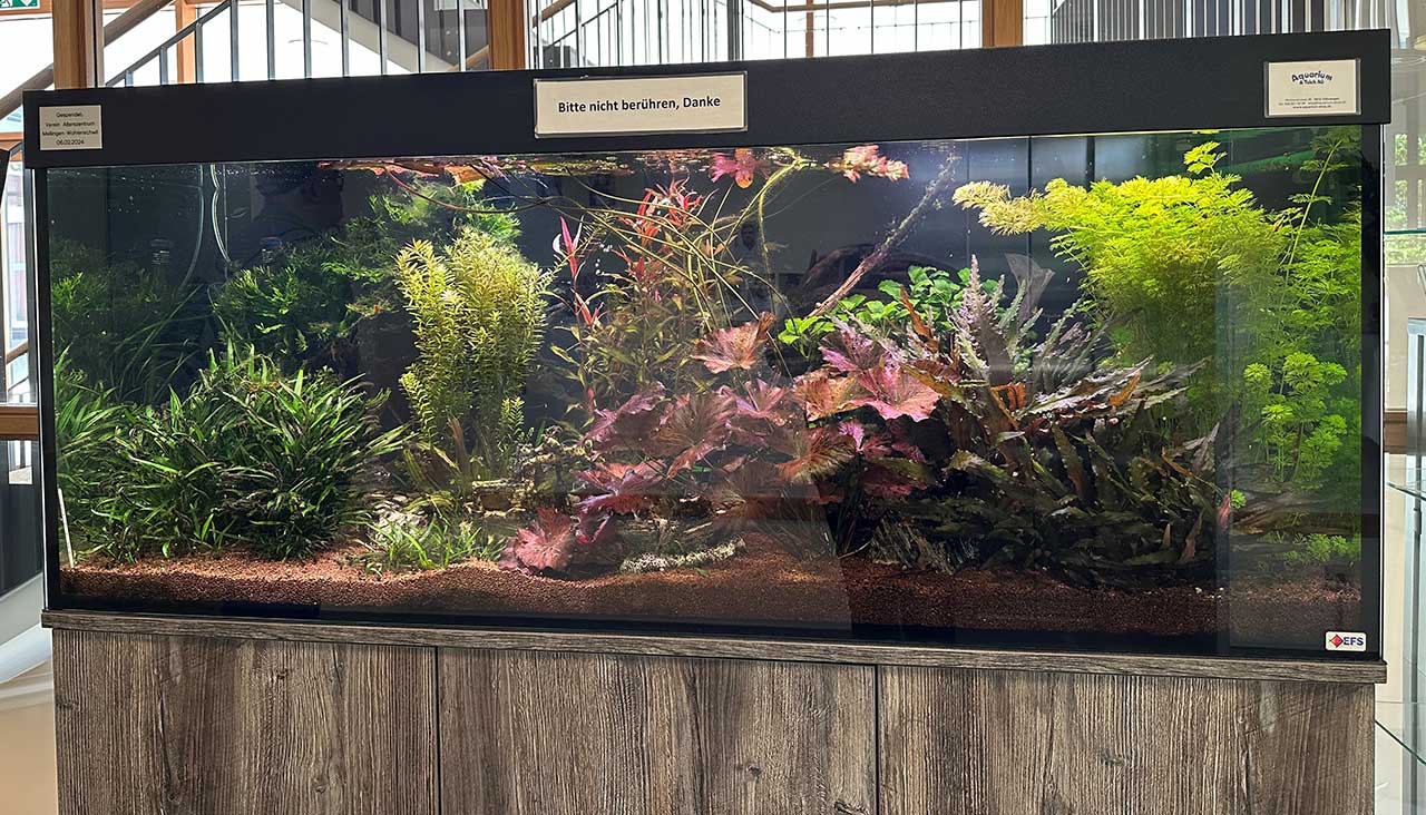 aquarium aquarium